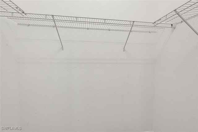 11643 Riverstone Ln, Fort Myers, FL 33913 - view of spacious closet