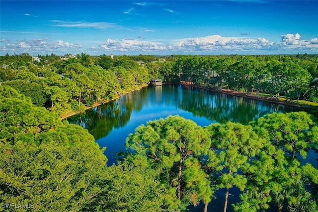 bird's eye view featuring a wooded view and a water view