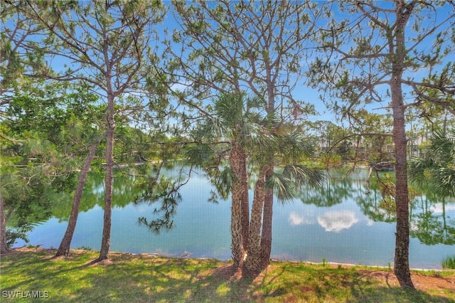 property view of water