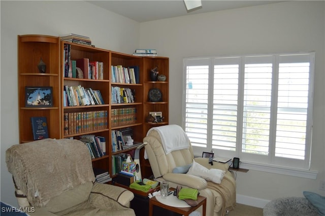 living area featuring baseboards