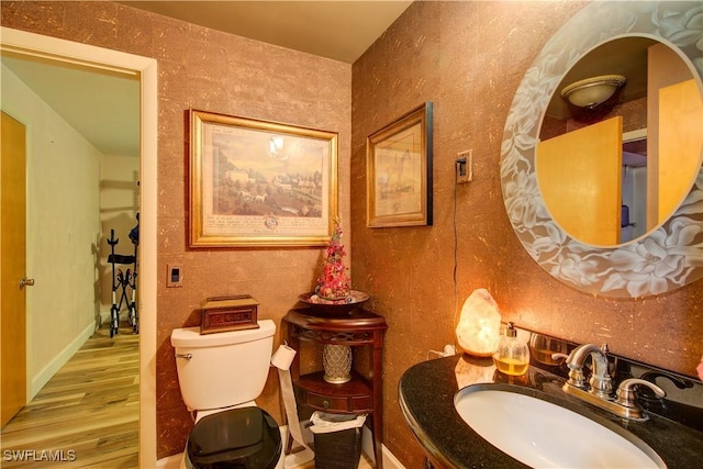 bathroom with vanity, toilet, and wood finished floors