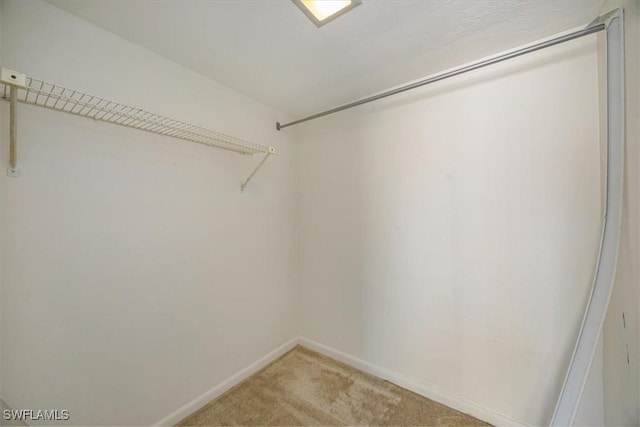 576 Retreat Dr Unit 101, Naples, FL 34110 - spacious closet with light carpet