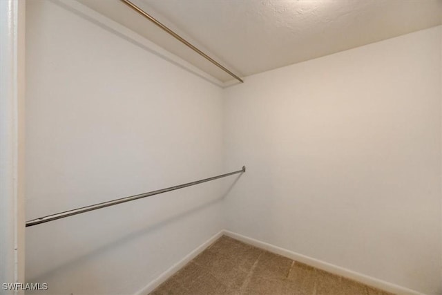 576 Retreat Dr Unit 101, Naples, FL 34110 - spacious closet featuring light carpet