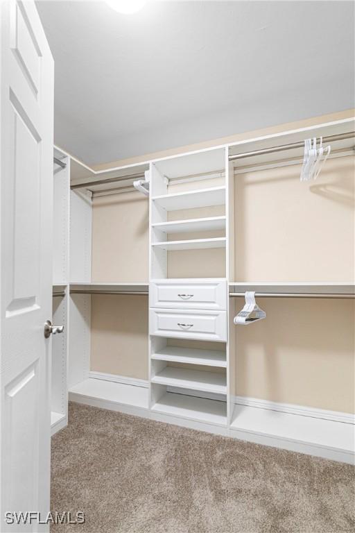 10637 Pelican Preserve Blvd Unit A, Fort Myers, FL 33913 - walk in closet featuring carpet floors
