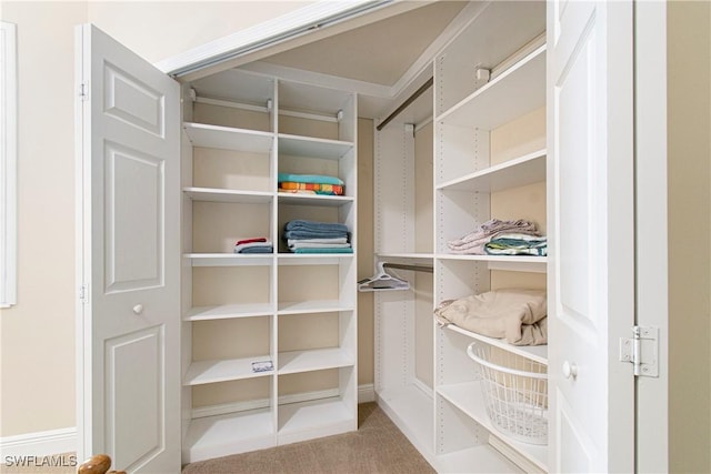 10637 Pelican Preserve Blvd Unit A, Fort Myers, FL 33913 - walk in closet featuring carpet