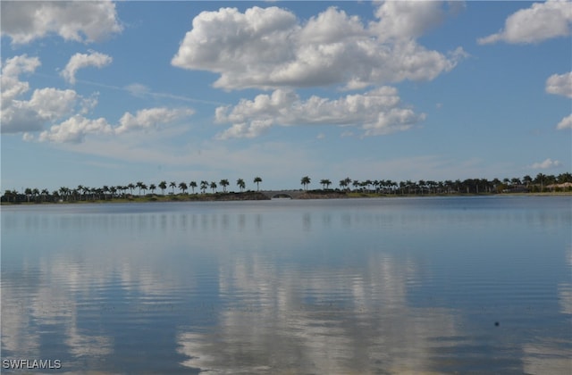 property view of water