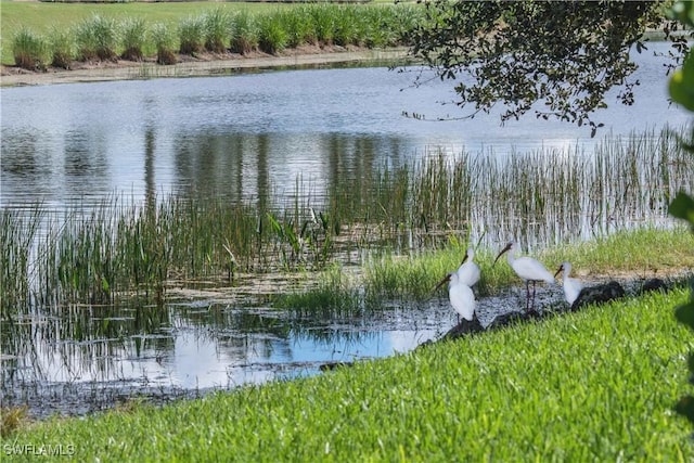 water view