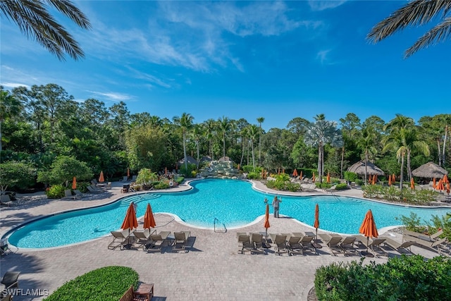 8945 Malibu St Unit 204, Naples, FL 34113 - community pool with a patio area