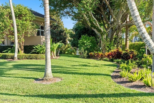 550 21st Ave S, Naples, FL 34102 - view of yard