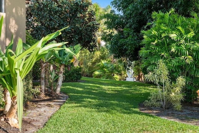 550 21st Ave S, Naples, FL 34102 - view of yard