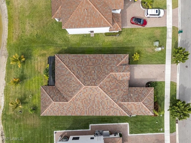 drone / aerial view