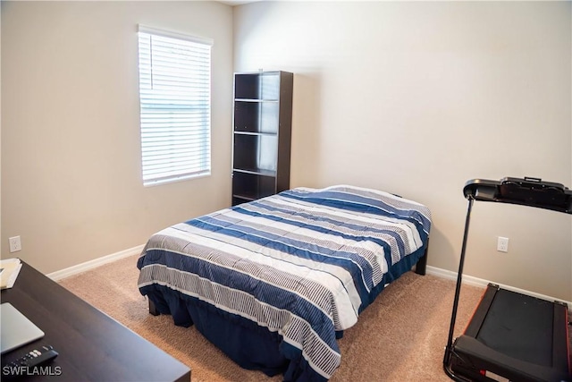 8880 Cascade Price Cir, North Fort Myers, FL 33917 - bedroom featuring carpet and multiple windows