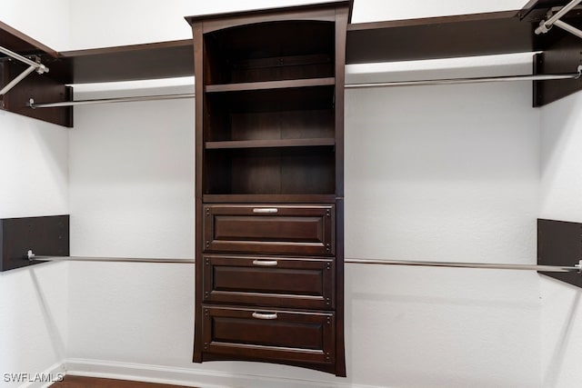 10326 Wishing Stone Ct, Bonita Springs, FL 34135 - view of walk in closet