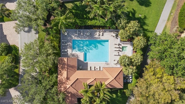 bird's eye view