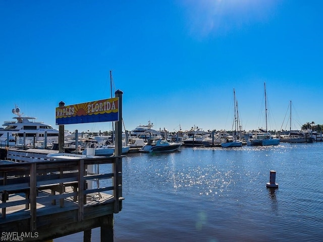 1057 Forest Lakes Dr Unit 1103, Naples, FL 34105 - dock area with a water view