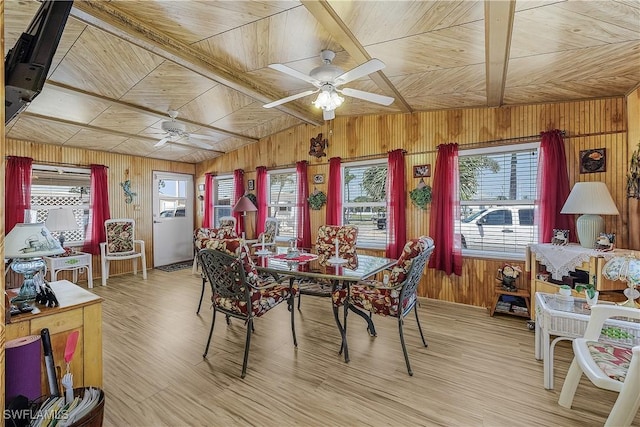 dining room featuring wood walls, a ceiling fan, light wood-style floors, and a healthy amount of sunlight