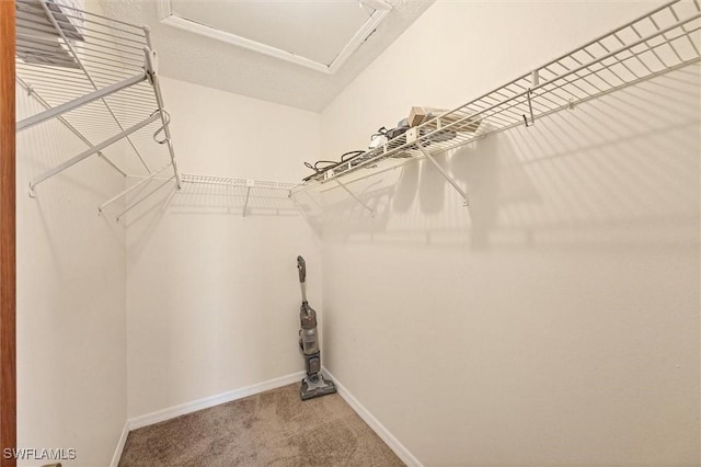26136 Explorer Rd, Punta Gorda, FL 33983 - walk in closet with carpet flooring