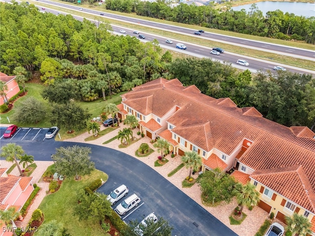 bird's eye view
