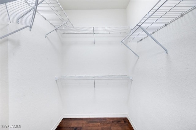 spacious closet featuring dark wood finished floors