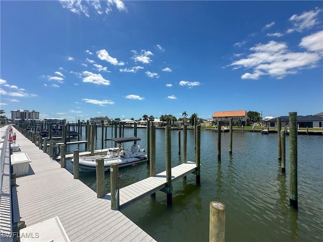 dock area with a water view