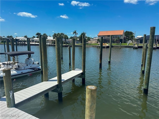 dock area with a water view