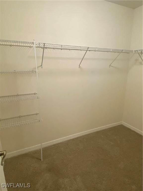 211 NE 20th St, Cape Coral, FL 33909 - walk in closet featuring carpet