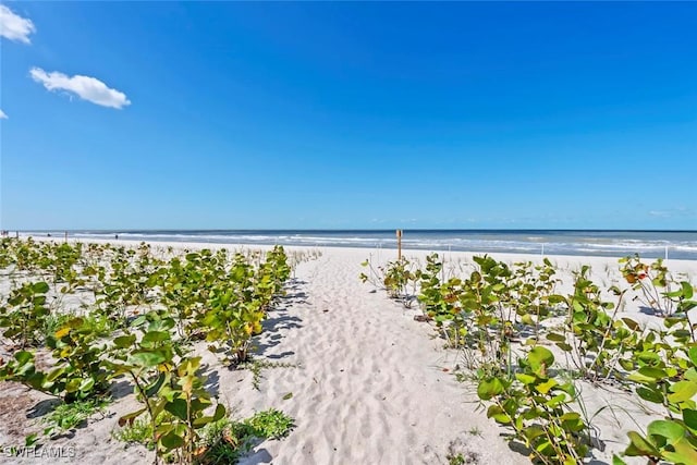 property view of water featuring a view of the beach