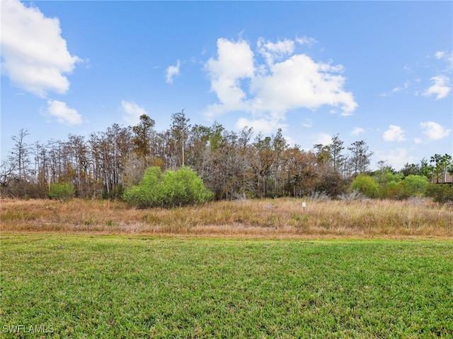 11552 Riverstone Ln, Fort Myers, FL 33913 - view of yard