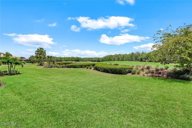 9102 Limestone Ln, Naples, FL 34120 - view of yard