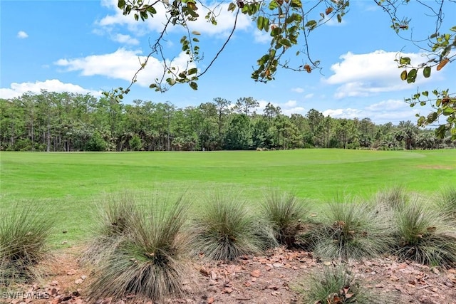 9102 Limestone Ln, Naples, FL 34120 - view of yard with golf course view