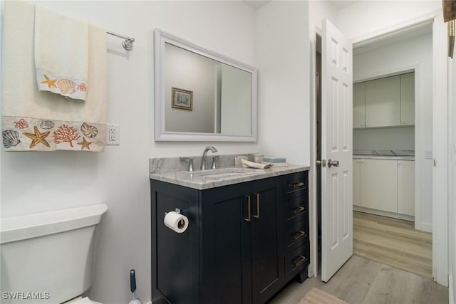 bathroom featuring toilet, vanity, and wood finished floors