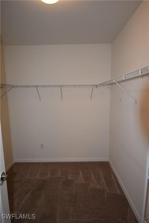 walk in closet featuring carpet flooring