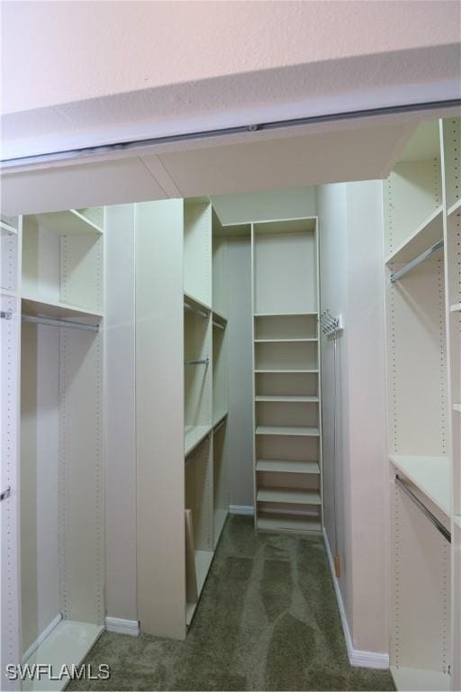 walk in closet with dark colored carpet