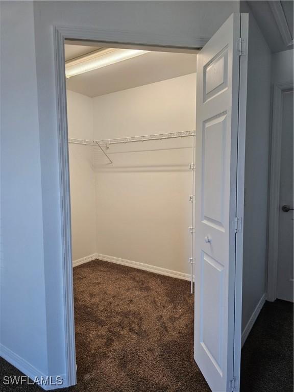 7027 Palpano Cir, Labelle, FL 33935 - spacious closet with dark colored carpet