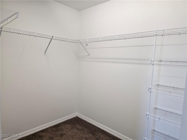 7027 Palpano Cir, Labelle, FL 33935 - walk in closet with dark colored carpet