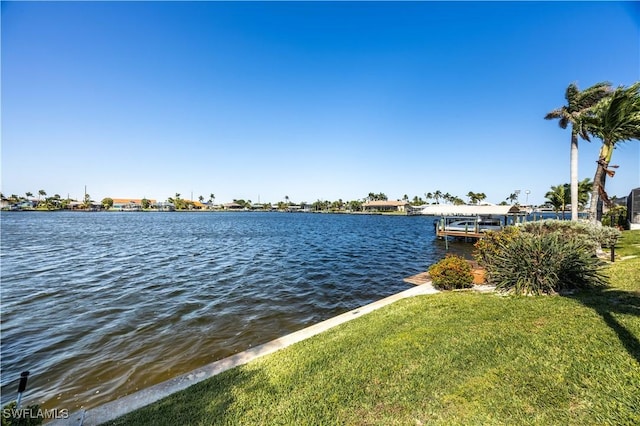 water view with a dock