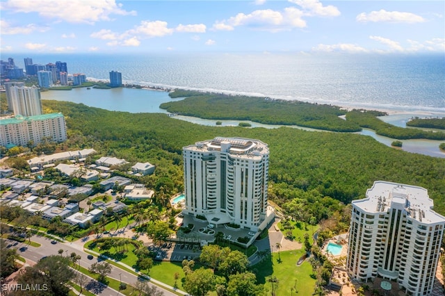 6001 Pelican Bay Blvd Unit 1506, Naples, FL 34108 - photo 32