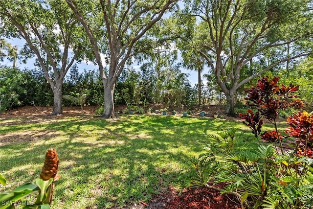 20657 Country Barn Dr, Estero, FL 33928 - view of yard