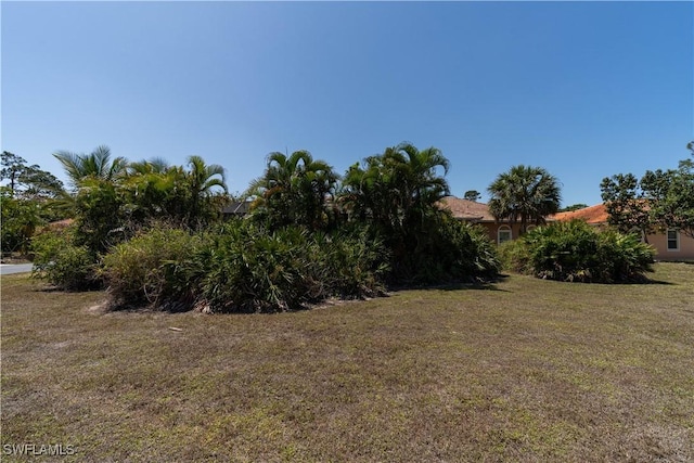 11273 Coimbra Ln, Bonita Springs, FL 34135