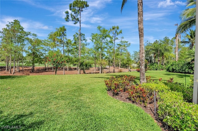 14501 Marsala Way, Naples, FL 34109 - view of grassy yard