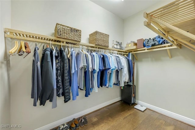 14501 Marsala Way, Naples, FL 34109 - walk in closet with wood finished floors