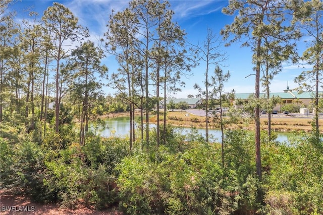 1150 Wildwood Lakes Blvd Unit 306, Naples, FL 34104 - property view of water