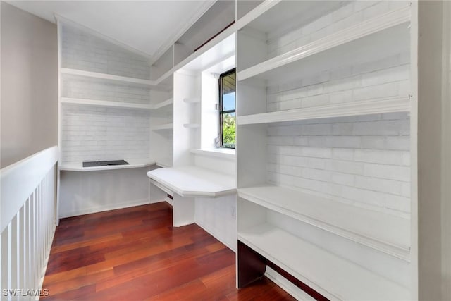 walk in closet featuring lofted ceiling and dark wood-style floors
