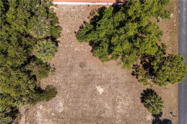 26985 Croise Dr, Bonita Springs, FL 34135