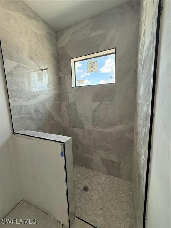 2481 24th Ave NE, Naples, FL 34120 - full bathroom featuring walk in shower