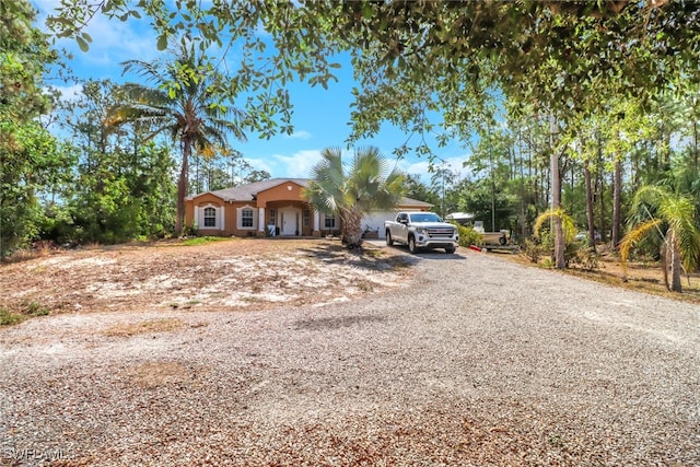 view of front of house with gravel driveway and stucco siding