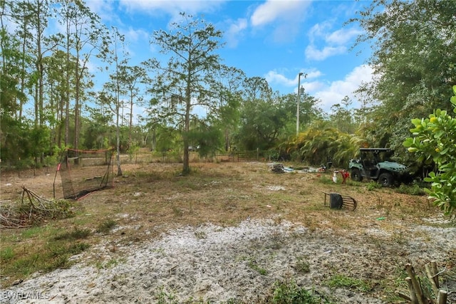 view of yard