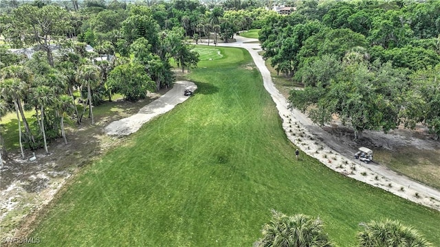 drone / aerial view