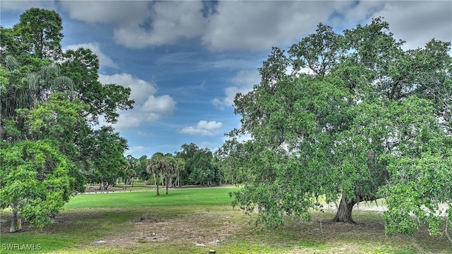 view of home's community with a lawn
