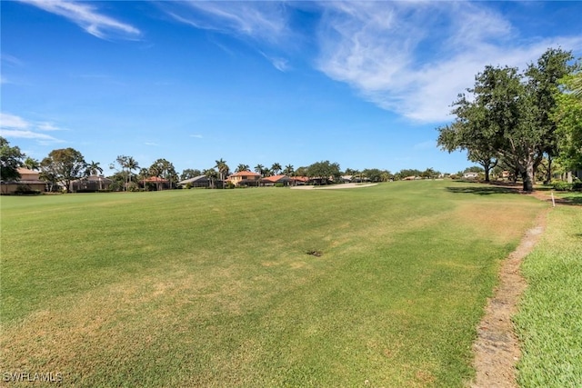 14070 Tivoli Ter, Bonita Springs, FL 34135 - view of yard
